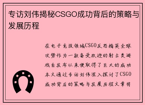 专访刘伟揭秘CSGO成功背后的策略与发展历程
